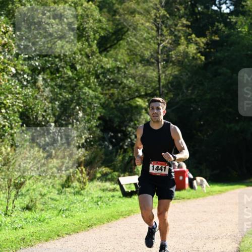 27.09.2026 - 35. Volkslauf durch das schöne Alstertal Dr. Thomas Lammeyer http://msf.ph/oto/10574642 27.09.2026 11:33:38 Laufen 1441 meine-sportfotos.de