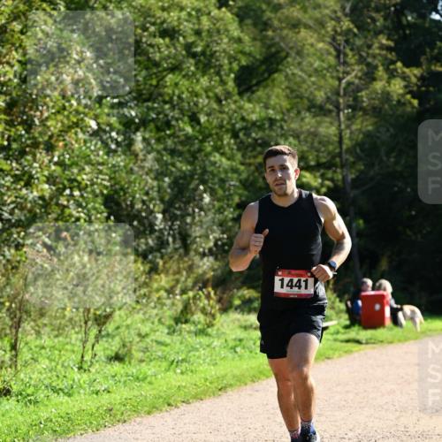 27.09.2026 - 35. Volkslauf durch das schöne Alstertal Dr. Thomas Lammeyer http://msf.ph/oto/10574645 27.09.2026 11:33:38 Laufen 1441 meine-sportfotos.de