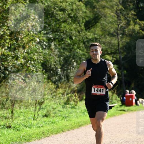 27.09.2026 - 35. Volkslauf durch das schöne Alstertal Dr. Thomas Lammeyer http://msf.ph/oto/10574647 27.09.2026 11:33:39 Laufen 1441 meine-sportfotos.de