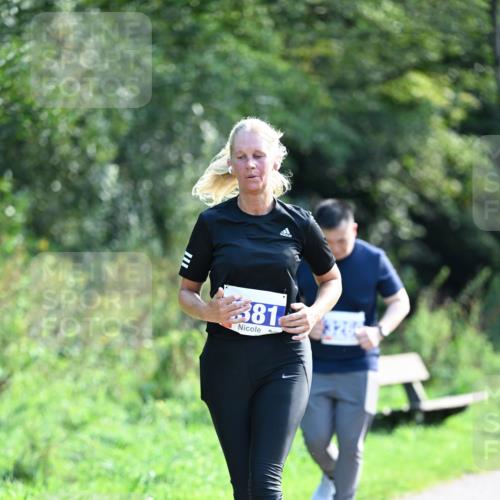 27.09.2026 - 35. Volkslauf durch das schöne Alstertal Dr. Thomas Lammeyer http://msf.ph/oto/10574707 27.09.2026 11:34:18 Laufen 381 meine-sportfotos.de