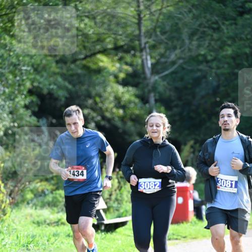 27.09.2026 - 35. Volkslauf durch das schöne Alstertal Dr. Thomas Lammeyer http://msf.ph/oto/10574726 27.09.2026 11:34:22 Laufen 1434, 3082, 3081 meine-sportfotos.de