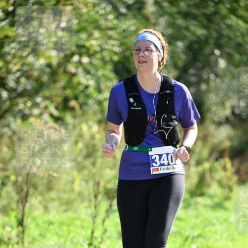 27.09.2026 - 35. Volkslauf durch das schöne Alstertal Dr. Thomas Lammeyer http://msf.ph/oto/10574773 27.09.2026 11:34:52 Laufen 340 meine-sportfotos.de