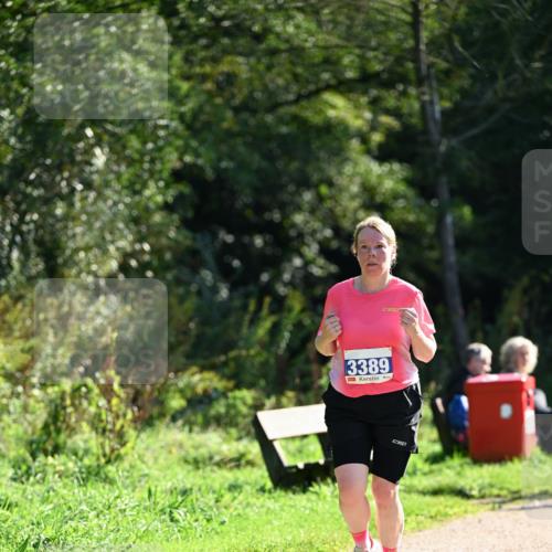 27.09.2026 - 35. Volkslauf durch das schöne Alstertal Dr. Thomas Lammeyer http://msf.ph/oto/10574778 27.09.2026 11:34:56 Laufen 3389 meine-sportfotos.de