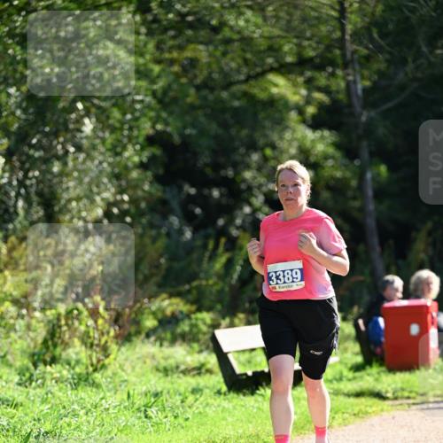 27.09.2026 - 35. Volkslauf durch das schöne Alstertal Dr. Thomas Lammeyer http://msf.ph/oto/10574779 27.09.2026 11:34:56 Laufen 3389 meine-sportfotos.de