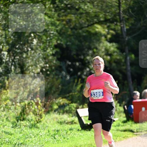 27.09.2026 - 35. Volkslauf durch das schöne Alstertal Dr. Thomas Lammeyer http://msf.ph/oto/10574781 27.09.2026 11:34:56 Laufen 3389 meine-sportfotos.de