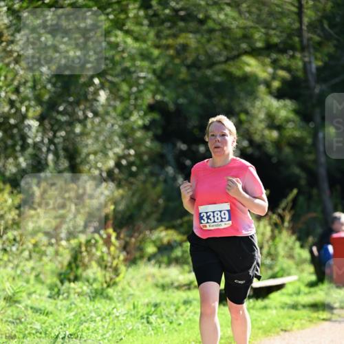 27.09.2026 - 35. Volkslauf durch das schöne Alstertal Dr. Thomas Lammeyer http://msf.ph/oto/10574786 27.09.2026 11:34:57 Laufen 3389 meine-sportfotos.de