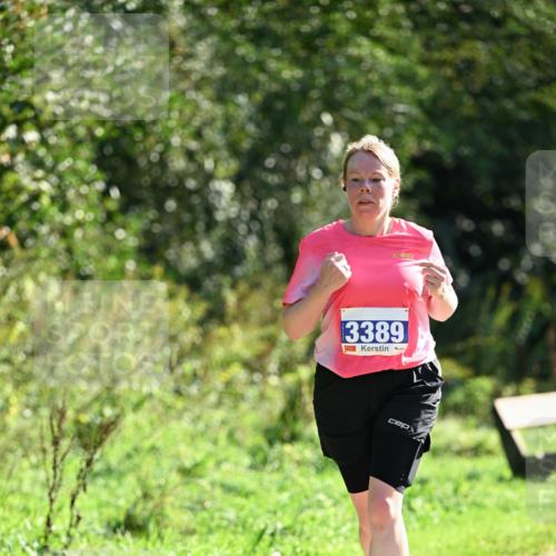 27.09.2026 - 35. Volkslauf durch das schöne Alstertal Dr. Thomas Lammeyer http://msf.ph/oto/10574796 27.09.2026 11:34:58 Laufen 13389 meine-sportfotos.de