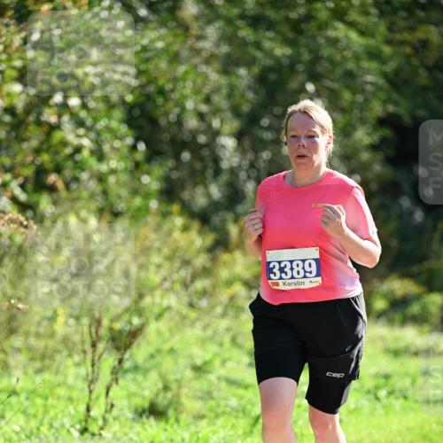 27.09.2026 - 35. Volkslauf durch das schöne Alstertal Dr. Thomas Lammeyer http://msf.ph/oto/10574798 27.09.2026 11:34:58 Laufen 3389 meine-sportfotos.de