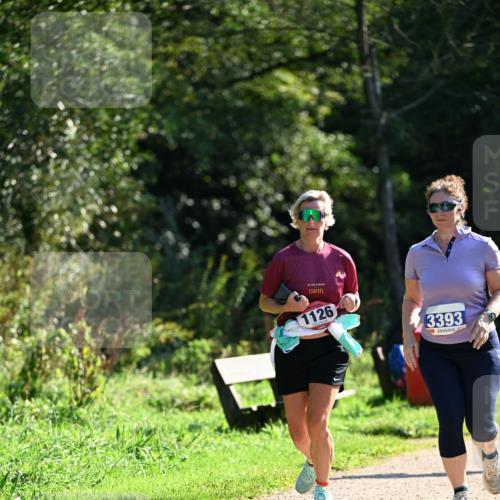 27.09.2026 - 35. Volkslauf durch das schöne Alstertal Dr. Thomas Lammeyer http://msf.ph/oto/10574802 27.09.2026 11:35:00 Laufen 1126, 3393, 1 meine-sportfotos.de