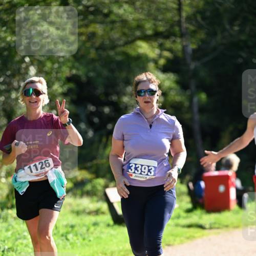 27.09.2026 - 35. Volkslauf durch das schöne Alstertal Dr. Thomas Lammeyer http://msf.ph/oto/10574816 27.09.2026 11:35:02 Laufen 1126, 3393 meine-sportfotos.de