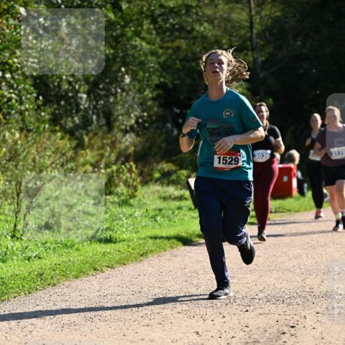 27.09.2026 - 35. Volkslauf durch das schöne Alstertal Dr. Thomas Lammeyer http://msf.ph/oto/10574831 27.09.2026 11:35:10 Laufen 1529, 3179 meine-sportfotos.de