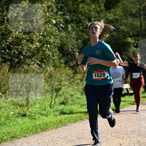 27.09.2026 - 35. Volkslauf durch das schöne Alstertal Dr. Thomas Lammeyer http://msf.ph/oto/10574838 27.09.2026 11:35:11 Laufen 1529, 2037, 3038 meine-sportfotos.de