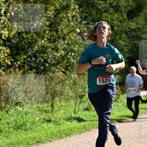 27.09.2026 - 35. Volkslauf durch das schöne Alstertal Dr. Thomas Lammeyer http://msf.ph/oto/10574840 27.09.2026 11:35:11 Laufen 1529 meine-sportfotos.de