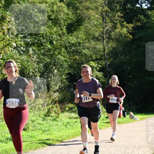 27.09.2026 - 35. Volkslauf durch das schöne Alstertal Dr. Thomas Lammeyer http://msf.ph/oto/10574855 27.09.2026 11:35:13 Laufen 3038, 3179, 3125 meine-sportfotos.de