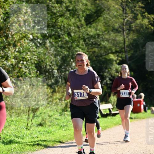 27.09.2026 - 35. Volkslauf durch das schöne Alstertal Dr. Thomas Lammeyer http://msf.ph/oto/10574862 27.09.2026 11:35:14 Laufen 3179, 3125 meine-sportfotos.de