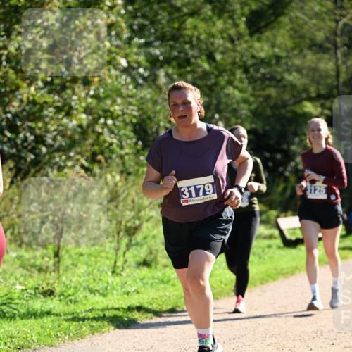 27.09.2026 - 35. Volkslauf durch das schöne Alstertal Dr. Thomas Lammeyer http://msf.ph/oto/10574865 27.09.2026 11:35:14 Laufen 3179, 3125 meine-sportfotos.de