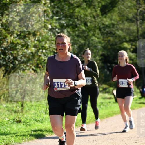 27.09.2026 - 35. Volkslauf durch das schöne Alstertal Dr. Thomas Lammeyer http://msf.ph/oto/10574868 27.09.2026 11:35:15 Laufen 3179, 26, 3125 meine-sportfotos.de