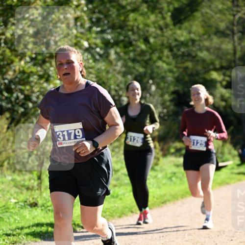 27.09.2026 - 35. Volkslauf durch das schöne Alstertal Dr. Thomas Lammeyer http://msf.ph/oto/10574870 27.09.2026 11:35:15 Laufen 3179, 3126, 3125 meine-sportfotos.de