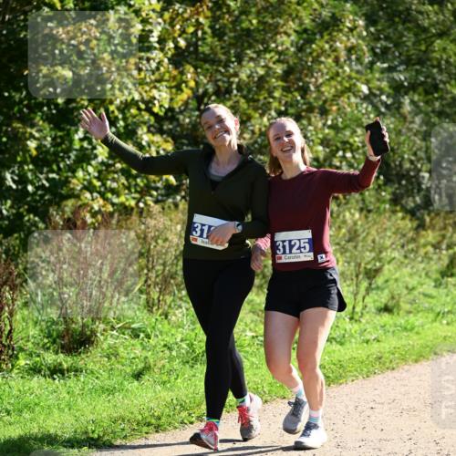 27.09.2026 - 35. Volkslauf durch das schöne Alstertal Dr. Thomas Lammeyer http://msf.ph/oto/10574878 27.09.2026 11:35:16 Laufen 31, 3125 meine-sportfotos.de