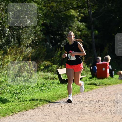 27.09.2026 - 35. Volkslauf durch das schöne Alstertal Dr. Thomas Lammeyer http://msf.ph/oto/10574905 27.09.2026 11:35:27 Laufen 3088 meine-sportfotos.de
