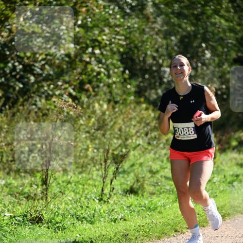 27.09.2026 - 35. Volkslauf durch das schöne Alstertal Dr. Thomas Lammeyer http://msf.ph/oto/10574920 27.09.2026 11:35:29 Laufen 3088 meine-sportfotos.de