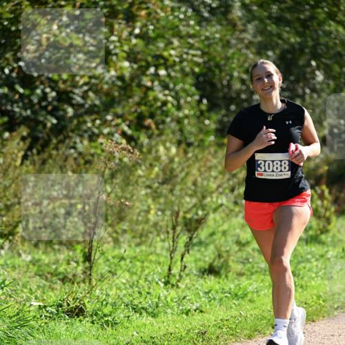 27.09.2026 - 35. Volkslauf durch das schöne Alstertal Dr. Thomas Lammeyer http://msf.ph/oto/10574921 27.09.2026 11:35:29 Laufen 3088 meine-sportfotos.de
