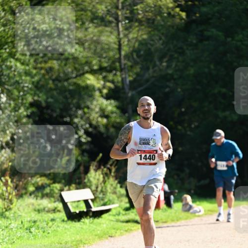 27.09.2026 - 35. Volkslauf durch das schöne Alstertal Dr. Thomas Lammeyer http://msf.ph/oto/10574935 27.09.2026 11:35:35 Laufen 1440 meine-sportfotos.de