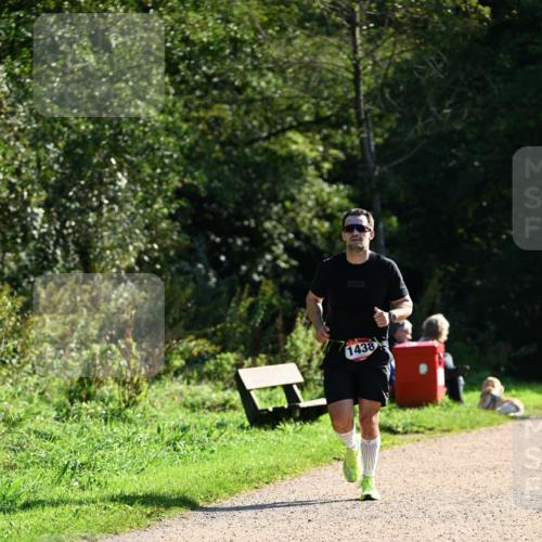 27.09.2026 - 35. Volkslauf durch das schöne Alstertal Dr. Thomas Lammeyer http://msf.ph/oto/10574973 27.09.2026 11:35:48 Laufen 1438 meine-sportfotos.de