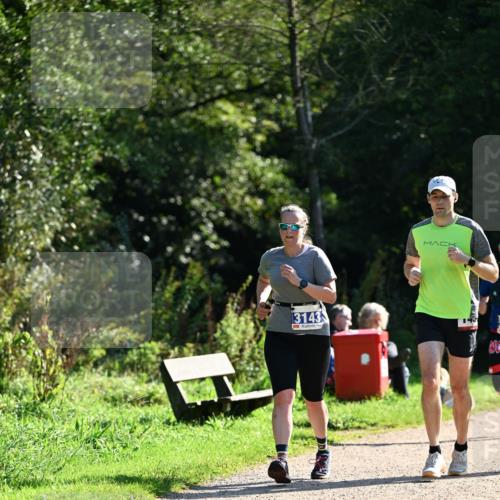 27.09.2026 - 35. Volkslauf durch das schöne Alstertal Dr. Thomas Lammeyer http://msf.ph/oto/10575004 27.09.2026 11:35:53 Laufen 3143 meine-sportfotos.de