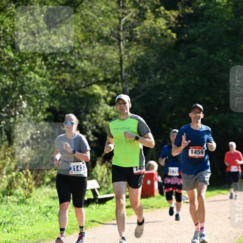 27.09.2026 - 35. Volkslauf durch das schöne Alstertal Dr. Thomas Lammeyer http://msf.ph/oto/10575015 27.09.2026 11:35:55 Laufen 3143, 145, 3170, 1459 meine-sportfotos.de