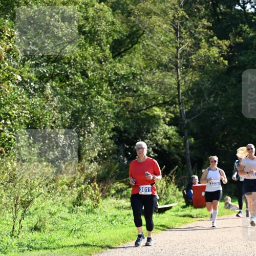 27.09.2026 - 35. Volkslauf durch das schöne Alstertal Dr. Thomas Lammeyer http://msf.ph/oto/10575058 27.09.2026 11:36:01 Laufen 3338, 3011 meine-sportfotos.de