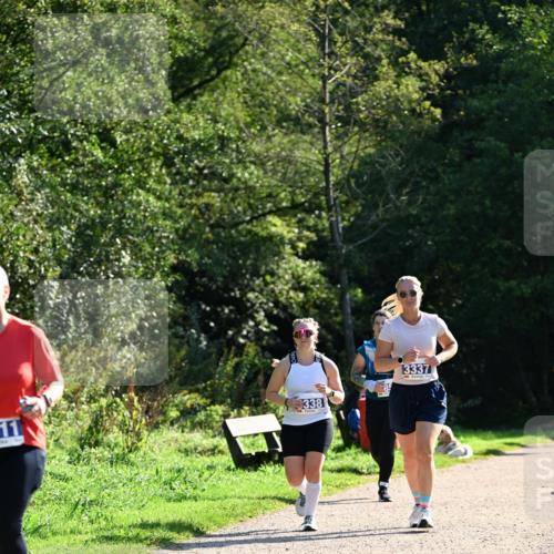 27.09.2026 - 35. Volkslauf durch das schöne Alstertal Dr. Thomas Lammeyer http://msf.ph/oto/10575075 27.09.2026 11:36:03 Laufen 11, 338, 3337 meine-sportfotos.de