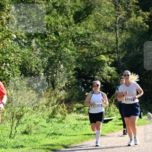 27.09.2026 - 35. Volkslauf durch das schöne Alstertal Dr. Thomas Lammeyer http://msf.ph/oto/10575081 27.09.2026 11:36:04 Laufen 5338, 3337 meine-sportfotos.de