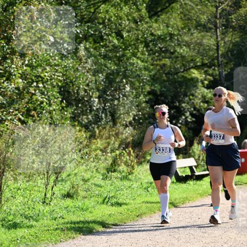 27.09.2026 - 35. Volkslauf durch das schöne Alstertal Dr. Thomas Lammeyer http://msf.ph/oto/10575087 27.09.2026 11:36:05 Laufen 3338, 3337 meine-sportfotos.de
