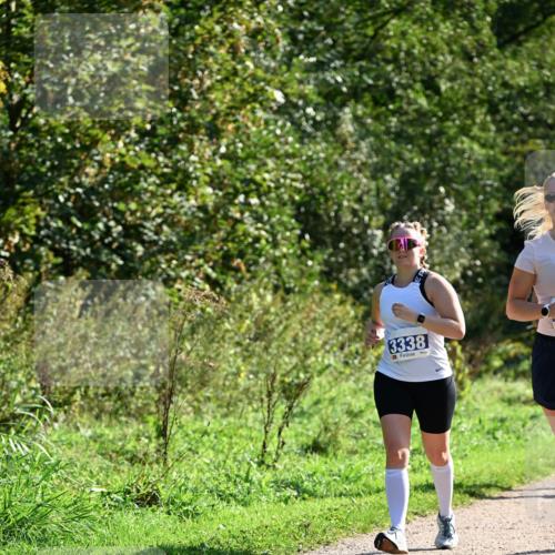 27.09.2026 - 35. Volkslauf durch das schöne Alstertal Dr. Thomas Lammeyer http://msf.ph/oto/10575098 27.09.2026 11:36:06 Laufen 3338 meine-sportfotos.de