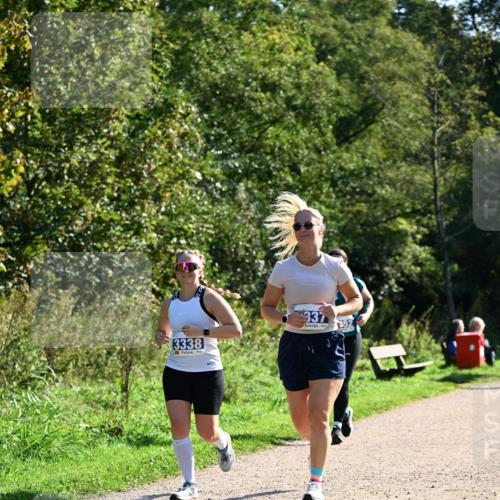 27.09.2026 - 35. Volkslauf durch das schöne Alstertal Dr. Thomas Lammeyer http://msf.ph/oto/10575101 27.09.2026 11:36:07 Laufen 3338, 337, 252 meine-sportfotos.de