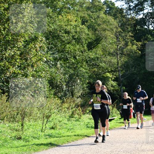 27.09.2026 - 35. Volkslauf durch das schöne Alstertal Dr. Thomas Lammeyer http://msf.ph/oto/10575127 27.09.2026 11:36:12 Laufen 3318, 3054, 3055 meine-sportfotos.de