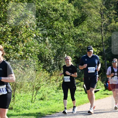 27.09.2026 - 35. Volkslauf durch das schöne Alstertal Dr. Thomas Lammeyer http://msf.ph/oto/10575153 27.09.2026 11:36:15 Laufen 19, 3055, 3054, 3084 meine-sportfotos.de