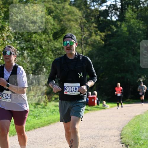 27.09.2026 - 35. Volkslauf durch das schöne Alstertal Dr. Thomas Lammeyer http://msf.ph/oto/10575172 27.09.2026 11:36:18 Laufen 3084, 3083 meine-sportfotos.de