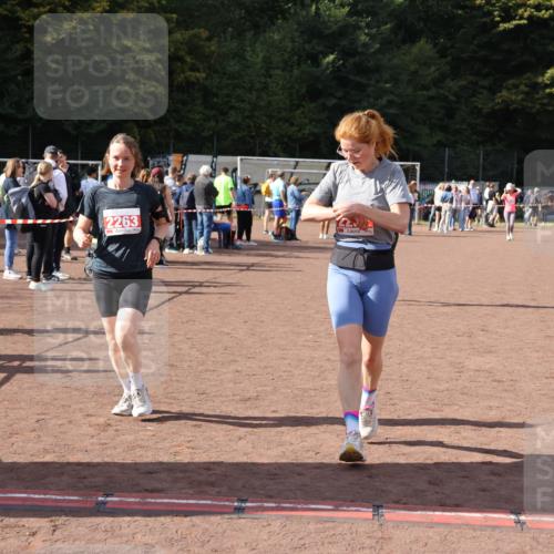 27.09.2026 - 35. Volkslauf durch das schöne Alstertal Strokosch-Dieckow http://msf.ph/oto/10575173 27.09.2026 12:34:47 Ziel 2029, 2252, 2263, 2389 meine-sportfotos.de