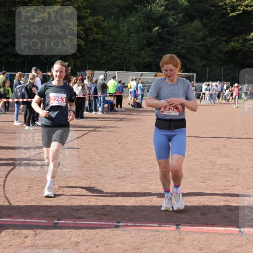 27.09.2026 - 35. Volkslauf durch das schöne Alstertal Strokosch-Dieckow http://msf.ph/oto/10575188 27.09.2026 12:34:47 Ziel 2029, 2252, 2263, 2389 meine-sportfotos.de
