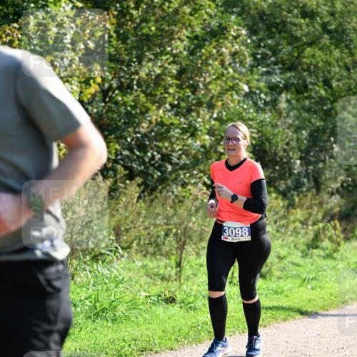 27.09.2026 - 35. Volkslauf durch das schöne Alstertal Dr. Thomas Lammeyer http://msf.ph/oto/10575189 27.09.2026 11:36:27 Laufen 3098 meine-sportfotos.de