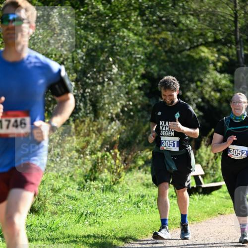27.09.2026 - 35. Volkslauf durch das schöne Alstertal Dr. Thomas Lammeyer http://msf.ph/oto/10575257 27.09.2026 11:36:41 Laufen 1746, 3051, 3052 meine-sportfotos.de