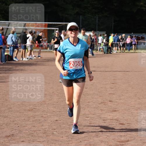 27.09.2026 - 35. Volkslauf durch das schöne Alstertal Strokosch-Dieckow http://msf.ph/oto/10575267 27.09.2026 12:29:38 Ziel 1081, 2000, 2053, 2055 meine-sportfotos.de