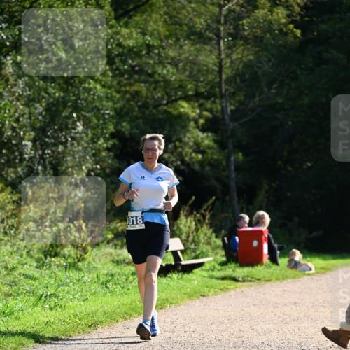 27.09.2026 - 35. Volkslauf durch das schöne Alstertal Dr. Thomas Lammeyer http://msf.ph/oto/10575280 27.09.2026 11:36:55 Laufen 018 meine-sportfotos.de