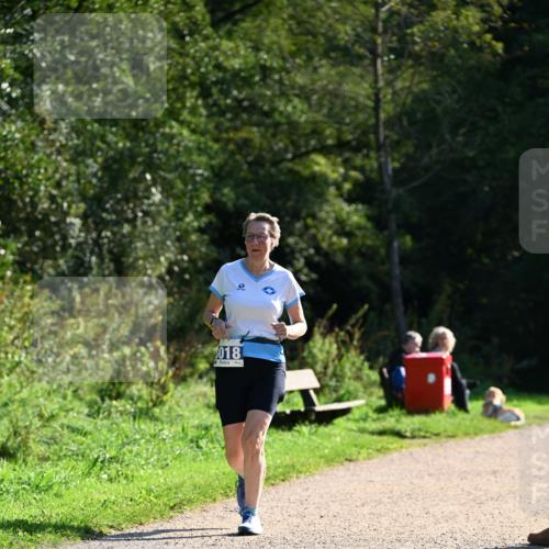 27.09.2026 - 35. Volkslauf durch das schöne Alstertal Dr. Thomas Lammeyer http://msf.ph/oto/10575283 27.09.2026 11:36:56 Laufen 018 meine-sportfotos.de