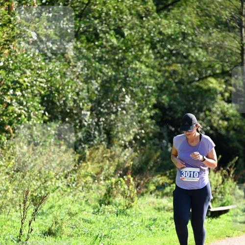 27.09.2026 - 35. Volkslauf durch das schöne Alstertal Dr. Thomas Lammeyer http://msf.ph/oto/10575303 27.09.2026 11:37:12 Laufen 3010 meine-sportfotos.de