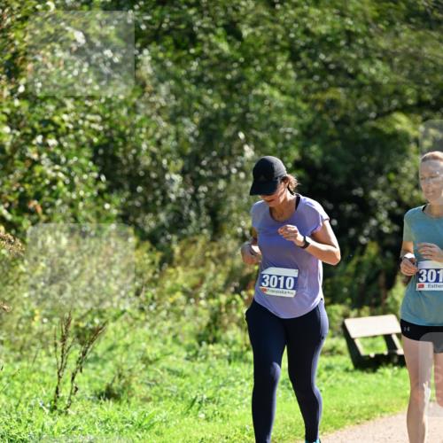 27.09.2026 - 35. Volkslauf durch das schöne Alstertal Dr. Thomas Lammeyer http://msf.ph/oto/10575310 27.09.2026 11:37:13 Laufen 3010, 301 meine-sportfotos.de