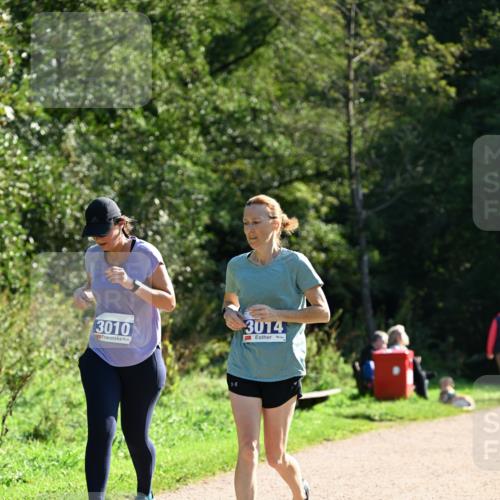 27.09.2026 - 35. Volkslauf durch das schöne Alstertal Dr. Thomas Lammeyer http://msf.ph/oto/10575312 27.09.2026 11:37:14 Laufen 3010, 3014 meine-sportfotos.de