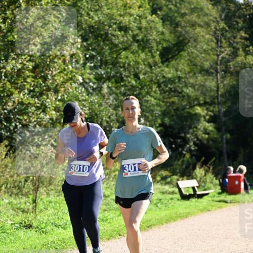 27.09.2026 - 35. Volkslauf durch das schöne Alstertal Dr. Thomas Lammeyer http://msf.ph/oto/10575314 27.09.2026 11:37:15 Laufen 3010, 301 meine-sportfotos.de